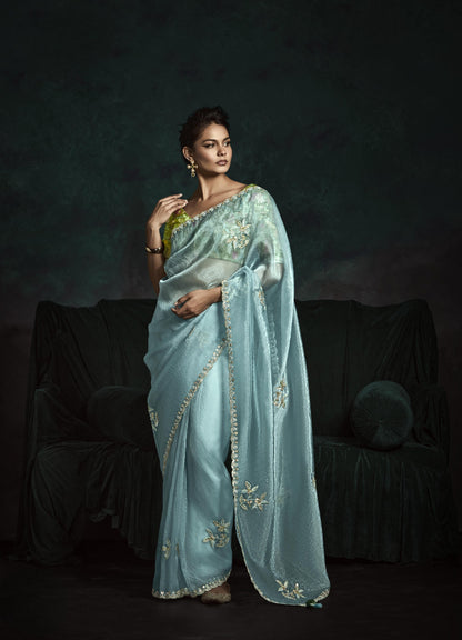 Crushed Tissue Hand Embroidered Border Saree
