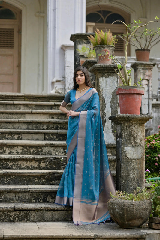 Premium Soft Kalyani Silk Saree